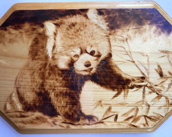 Hand-Burned Red Panda on Pine