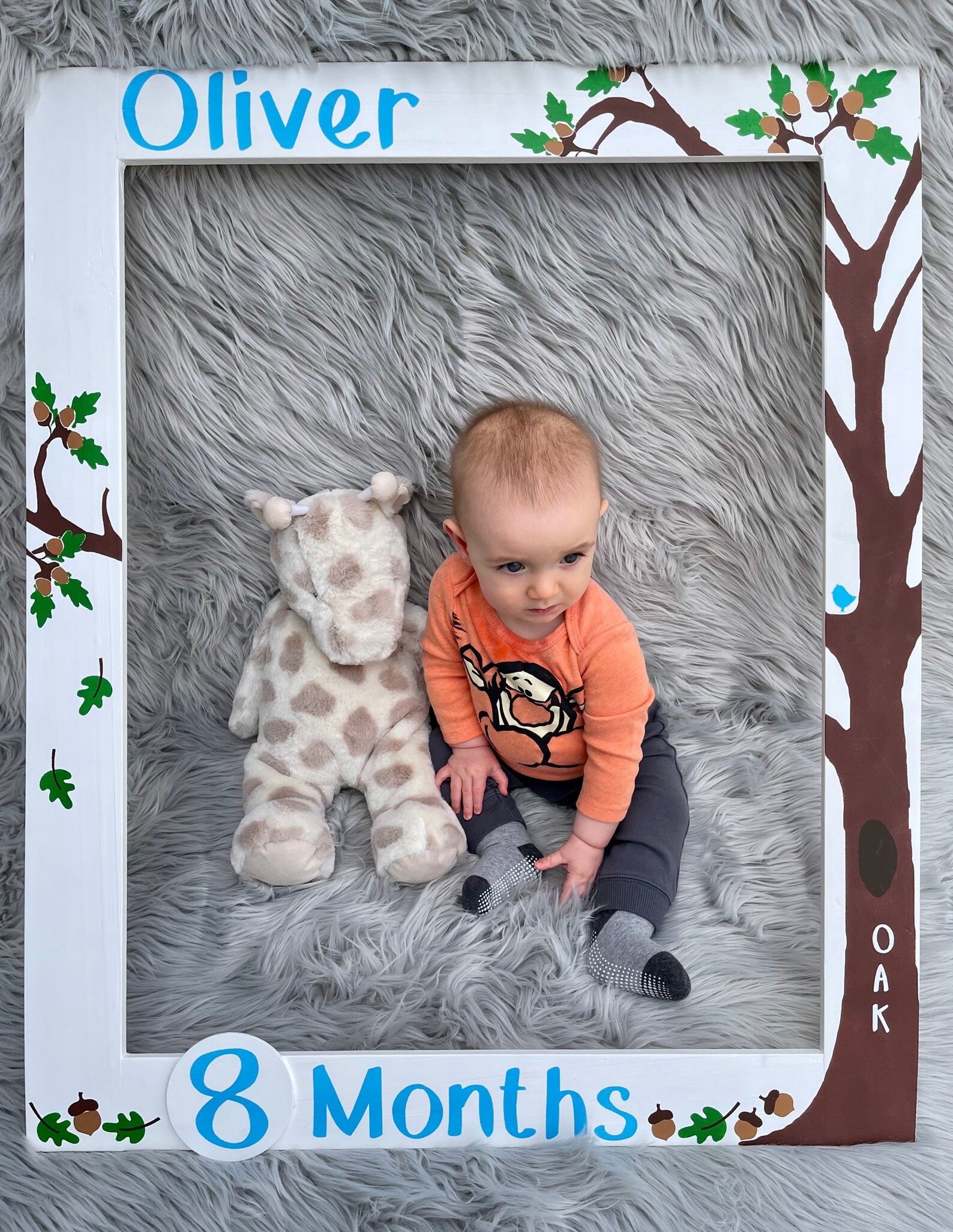 Baby Milestone Photo Booth Frame Month by Month Photo Prop Etsy