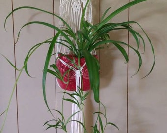 Wall Hanging Macrame Plant Hanger