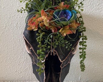 May include: A black painted cow skull with a gold trim is decorated with a variety of succulents and flowers. The flowers are pink, orange, and blue.