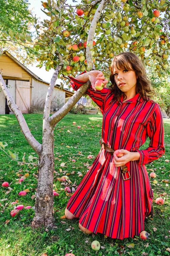 Red Striped Vintage Dress * Lord & Taylor Pleated Long Sleeve