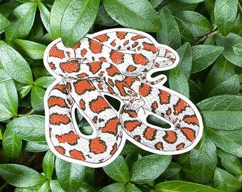 Snake Vinyl Sticker | Reptile Lover | Backyard Wildlife | For Him