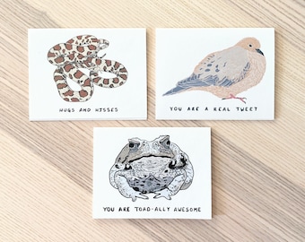 Funny Animal Pun Greeting Card Set: Snake, Bird & Toad Notecards