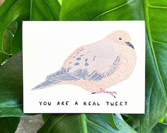 You Are A Real Tweet | Bird Greeting Card | Mourning Dove Card | Funny | Blank | Nature |