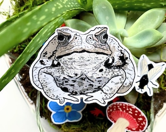 Toad Vinyl Sticker for Water Bottle | Spotted Amphibian | Backyard Wildlife | Nature Lovers | Waterproof |