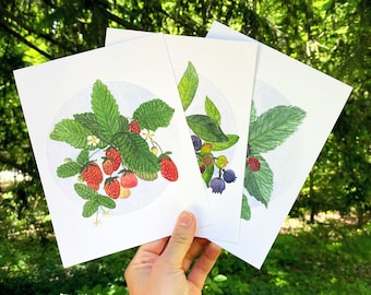 Summer Berry Watercolor Prints | Strawberry, Blueberry, Blackberries Wall Art | Home Decor | Gift for Friend |