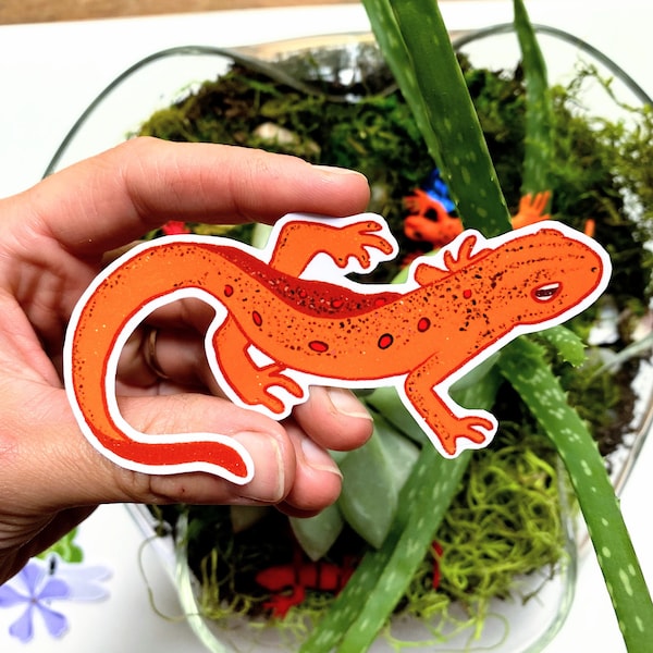 Red Newt Vinyl Sticker Set | Spotted Amphibian | Red Eft | Backyard Wildlife | Nature Lovers | Waterproof |