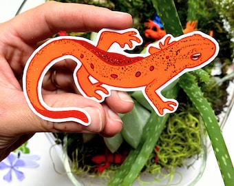Red Newt Vinyl Sticker | Spotted Amphibian | Red Eft | Backyard Wildlife | Nature Lovers | Waterproof |