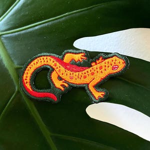 Parche bordado de tritón manchado rojo / Parche de anfibios de hierro / Salamandra / Regalo para él / Regalo para ella