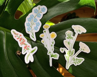 Wildflower Sticker Set | Forget-me-not | Buttercup | Queen Ann's Lace | Floral | Flower | For Her |