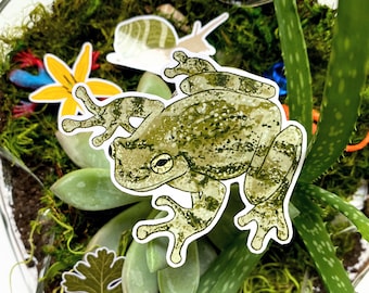Green Vinyl Frog Sticker | Waterproof Backyard Wildlife | Tree Frog | Laminated | Nature Lover | For Him |