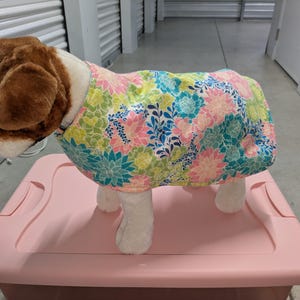 May include: A white dog wearing a pink and green floral dog coat. The dog is standing on a pink plastic storage bin.