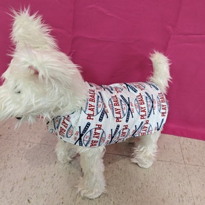 May include: White dog wearing a white, blue, and red dog shirt with the words "Play Ball" repeated on it.