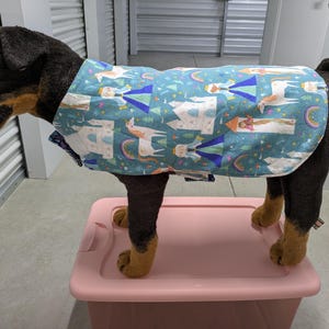 May include: A black dog wearing a blue and white dog bandana with a castle, unicorn, and princess design. The bandana has a white trim and is tied around the dog's neck.