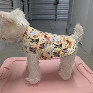May include: A white dog wearing a yellow and brown dog vest with a pattern of dogs and the words "Woof" and "Happy Fall Y'all".