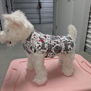 May include: White dog wearing a grey and white dog print shirt with red accents. The dog is standing on a pink surface.