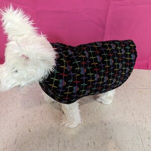 May include: A white dog wearing a black dog sweater with a rainbow heart pattern.