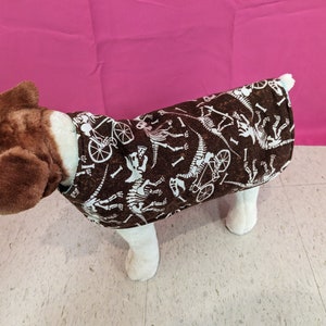 May include: A brown dog sweater with a white dinosaur skeleton print. The sweater has a light blue trim around the neck.