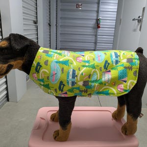 May include: A black and brown dog wearing a green, blue, and white dog vest with a camping theme. The vest has a variety of images including trees, tents, and campers.