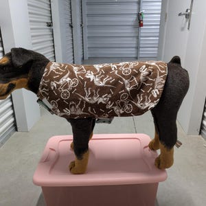 May include: A brown dog wearing a brown and white dinosaur-themed sweater. The dog is standing on a pink plastic storage bin.