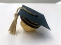 Ferrero Rocher Graduation Cap Favors, Graduation Favors, Graduation Ferrero Rocher Favor, Unique Grad Candy, Toppers Only