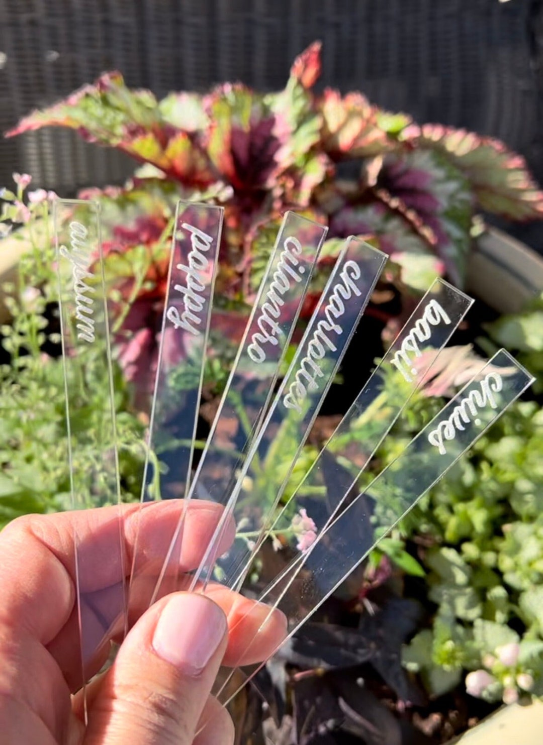 Custom Plant Label Marker Herb Vegetable Flower Garden Etsy