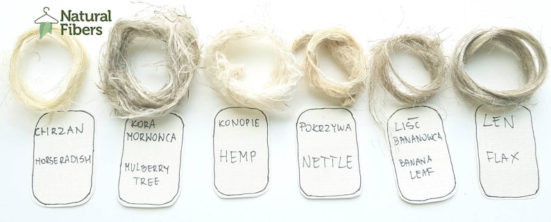May include: Six different types of natural fibers, including horse radish, mulberry tree, hemp, nettle, banana leaf, and flax, are displayed in a row on a white background. Each fiber is wrapped in a circle and labeled with its common name and scientific name.