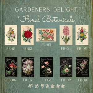 Pode incluir: Uma coleção de dez ilustrações botânicas vintage que apresentam várias flores, incluindo rosas, jacintos e lírios. As ilustrações são em estilo vintage e são perfeitas para adicionar um toque de natureza a qualquer decoração de casa.