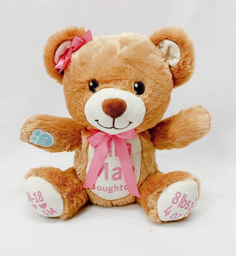 Personalized weighted memory Bear, personalized bear, keepsake bear, personalized build-a-bear Pink