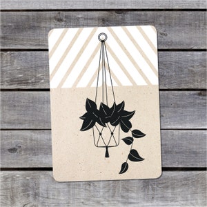 Carte postale {plante suspendue}