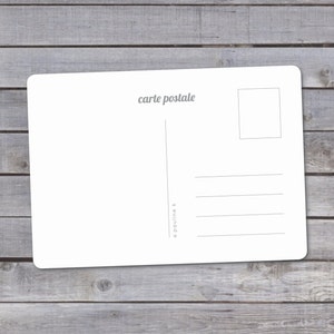 May include: Blank white postcard with the text "carte postale" printed in the top center. The back of the postcard has a space for a stamp and a lined area for writing a message.