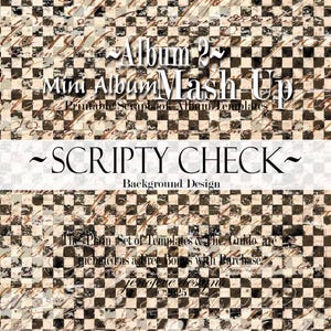 Mini Album Mash Up ~ Album 2 ~ SCRIPTY CHECK & PLAIN~ Printable Scrapbook Album Templates image 2