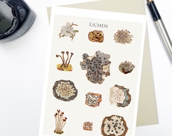 Lichen greetings card with custom greeting, personalized nature card