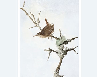 Watercolour paper print for bird lovers, A4 art print of a wren