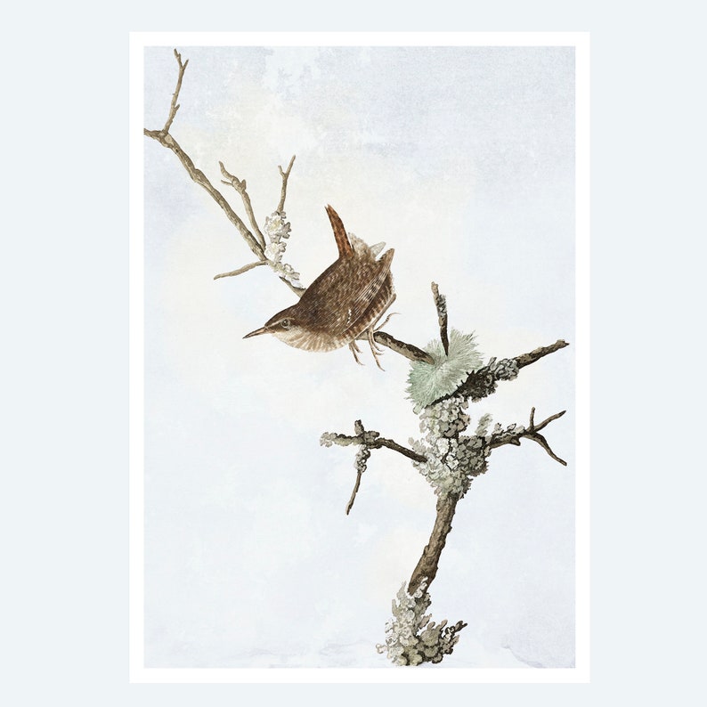 Watercolour paper print for bird lovers, A4 art print of a wren image 1