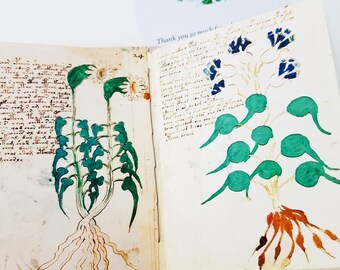 The Voynich Question - artist hand bound book of ancient manuscript, book gift,