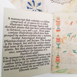 End pages to a handmade tribute of an ancient manuscript 'The Voynich Manuscript'