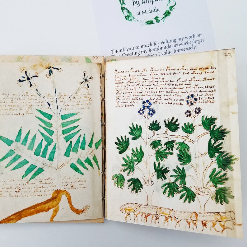 Individual pages showing herbal illustration from my handmade tribute to the Voynich manuscript