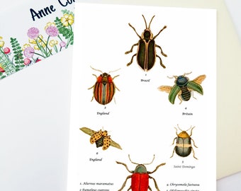 Bugs  Handmade  Greetings Card with custom option, nature lovers card