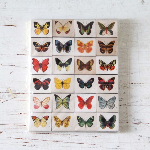 Butterfly Matchbox Collection / Matchbox Collectibles, Butterfly Pictures, Nursery Decor