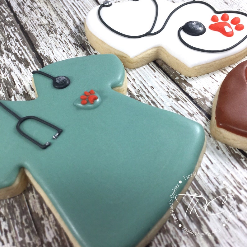 Decorated Cookies for Veterinarian 1 Dozen Etsy