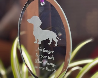 FurEver in Light: Daschund