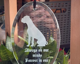 FurEver in Light: Boxer Memorial