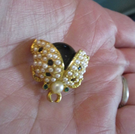 Jelly Belly, Insect Pin, 50s Jewelry, Insect Broo… - image 5