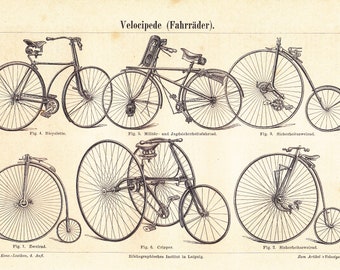 penny farthing high wheel bicycle