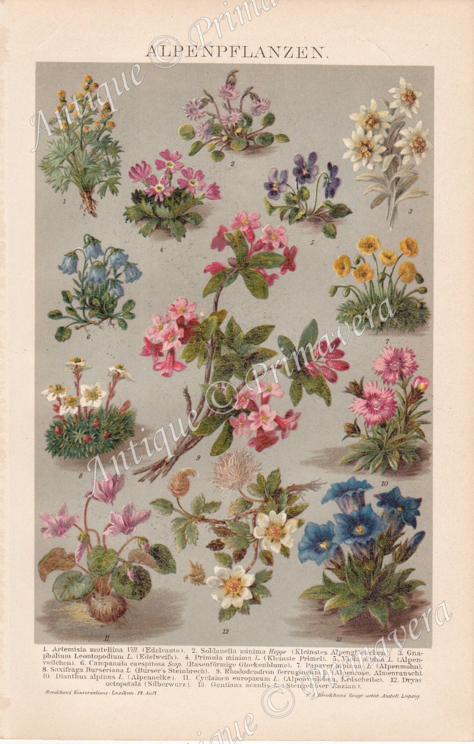 2 Vintage Victorian AUTOCOLLANTS/AUTOCOLLANT repro Floral Botanical upcycling
