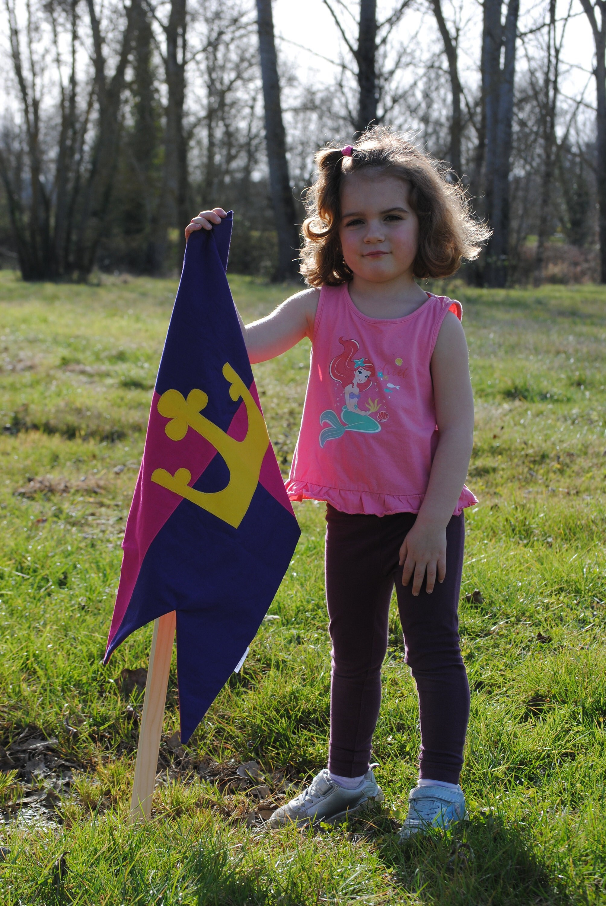Drapeau de La Couronne Pour Enfants, Fait à Main, Grand, 100% Coton, Drapeau Du Château, Chevalier, 