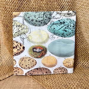 May include: Square paper napkin featuring a collage of illustrated bird eggs in various colors and patterns, including speckled brown, light blue, and yellow. A small bird's nest with eggs is also depicted. The background is white with handwritten text.