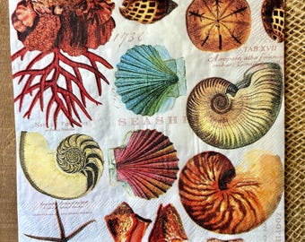 Seashells Decoupage Napkins, Nautical Beach Theme (Set of 2)