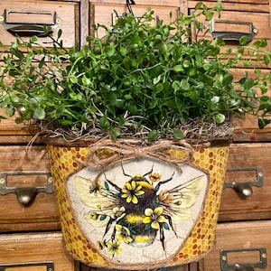 May include: A yellow and brown metal planter with a honeycomb pattern and a bee with flowers design. The planter is hanging from a hook and has a green plant inside.